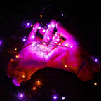 Solar Outdoor Fairy Lights with 200 LEDs for Garden, Patio and Fence Decor