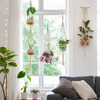 4-piece handmade Boho macrame plant hanger set