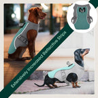 Summer Reflective Dog Cooling Vest & Quick-Release Harness