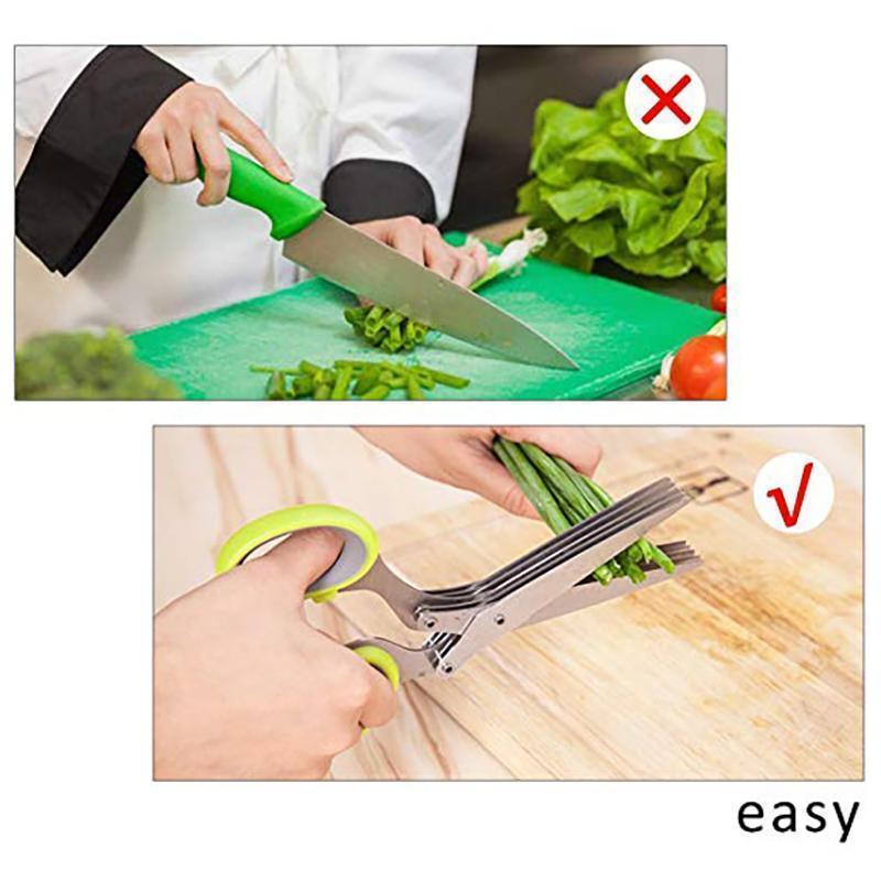 Multi-layered Spring Onion Scissors
