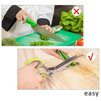 Multi-layered Spring Onion Scissors