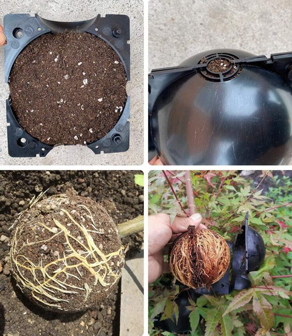 Plant protection balls for roots – Protective caps for safe replanting and growth