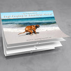 Funniest Calendar-Dogs Pooping in Beautiful Places | "Artistic Expression" of Furry Friends