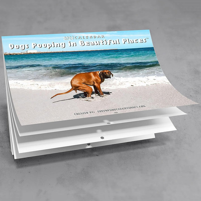 Funniest Calendar-Dogs Pooping in Beautiful Places | "Artistic Expression" of Furry Friends