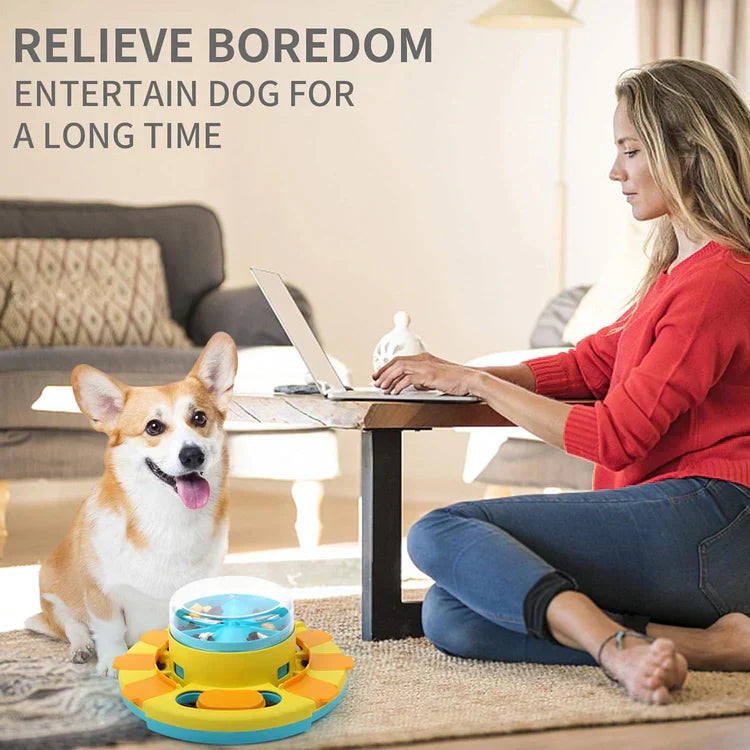 PuzzleFeast Pet Feeder - Interactive Feeding Game for Pets