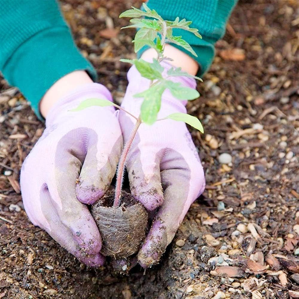 Coconut Fiber Peat Seedling Pellets – Starter for Seed Planting