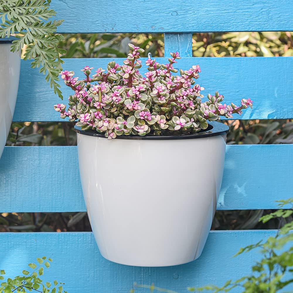 Self-watering hanging plant pot – Modern flower pot for wall mounting