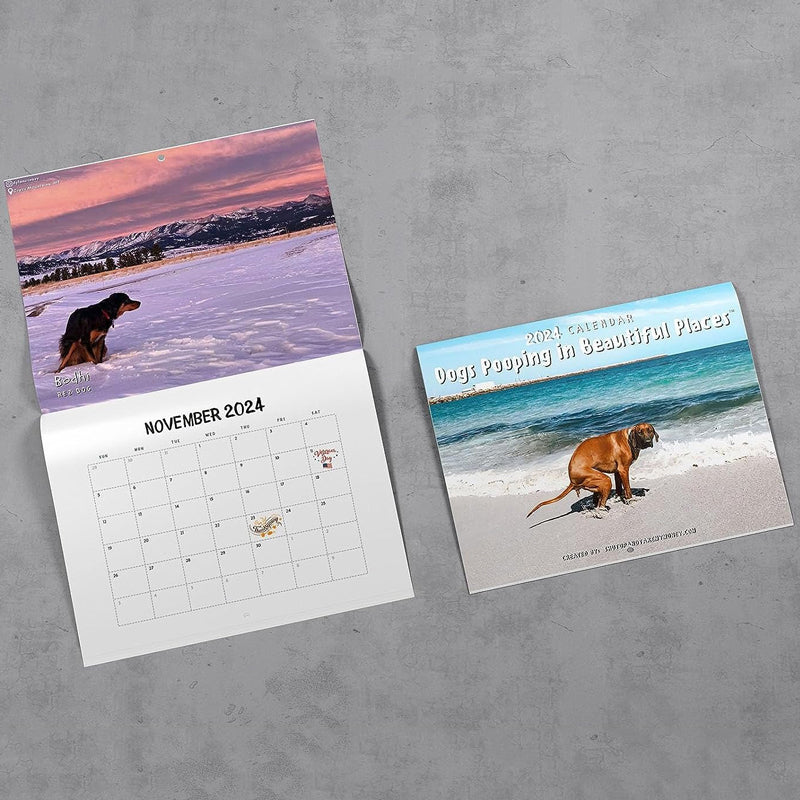 Funniest Calendar-Dogs Pooping in Beautiful Places | "Artistic Expression" of Furry Friends