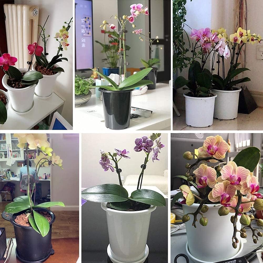 Breathable Root Control Pot for Plants – Ideal for Healthy Growth and Optimal Aeration