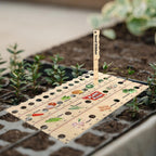 Wood Plant Ruler – Multifunctional Seed Measuring Tool for Garden