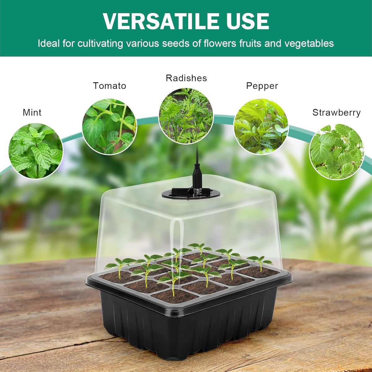 Grow kit with light – Complete set for successful plant cultivation