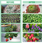 Plant growth light with 4 flexible arms and dimming function for indoor gardens