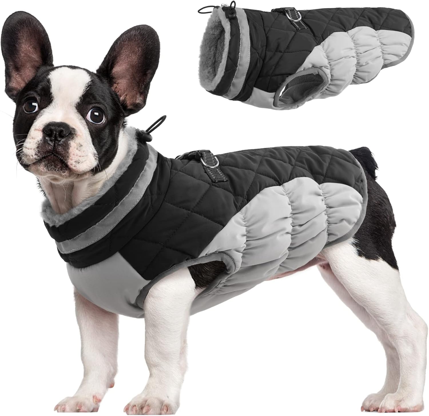 SafeWalk Winter Harness Jacket – Waterproof dog jacket with reflection and fleece lining