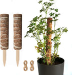 Coconut moss stick for climbing plants – Natural climbing aid for houseplants and garden