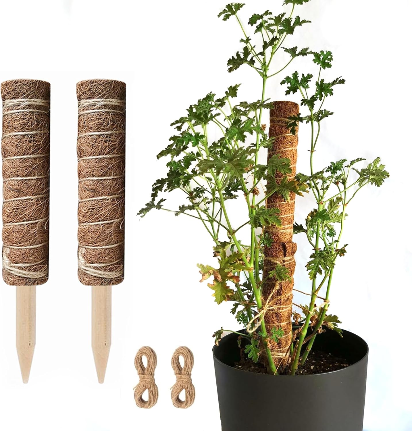 Coconut moss stick for climbing plants – Natural climbing aid for houseplants and garden