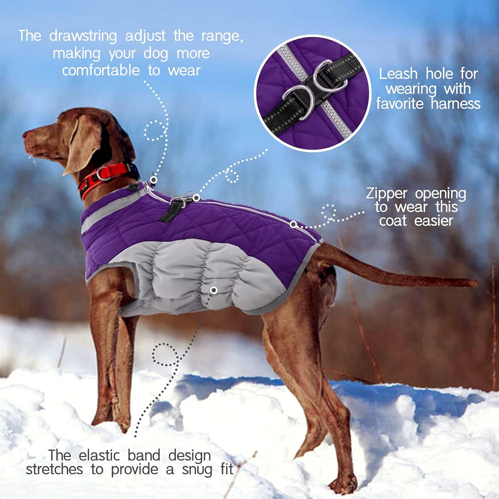 SafeWalk Winter Harness Jacket – Waterproof dog jacket with reflection and fleece lining