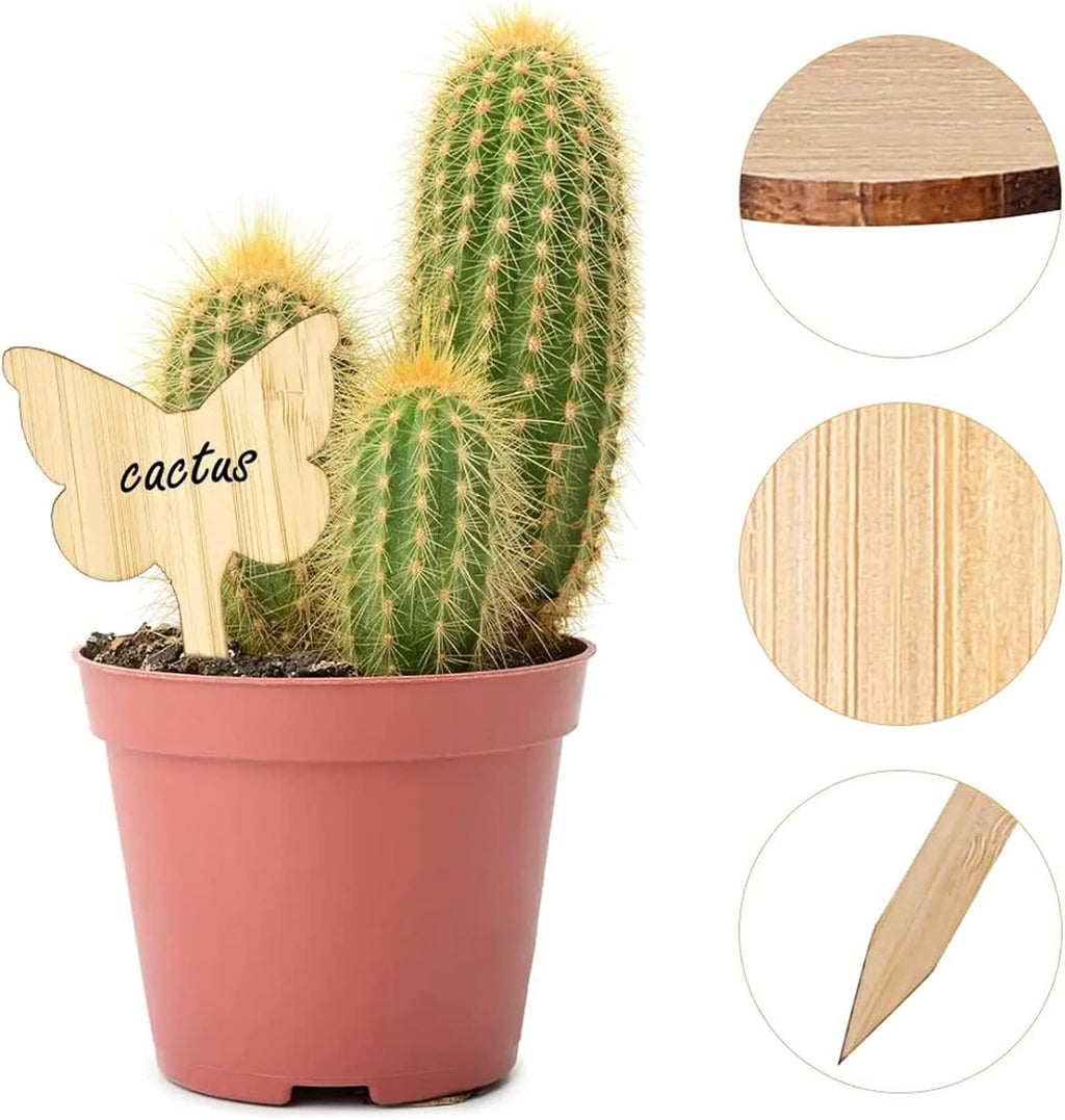 Plant labels made of wood for garden and balcony – Rewritable labels for herbs and plants