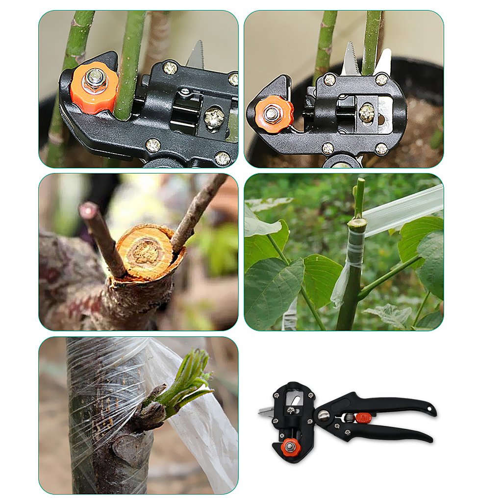 Grafting and cutting tool set for precise plant grafting