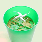 Efficient sprout growing kit for healthy and fresh growth