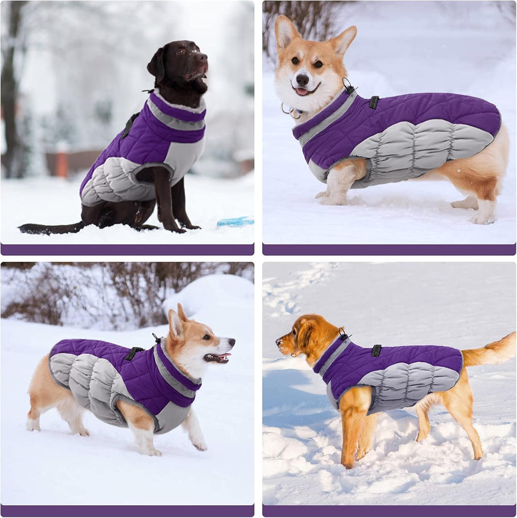 SafeWalk Winter Harness Jacket – Waterproof dog jacket with reflection and fleece lining