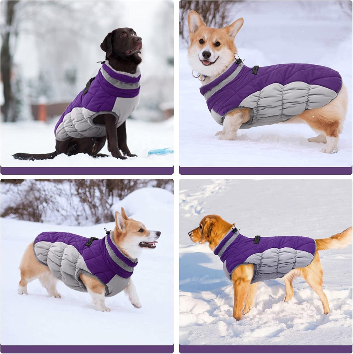 SafeWalk Winter Harness Jacket – Waterproof dog jacket with reflection and fleece lining