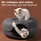 Luxury cat tunnel with sleeping area