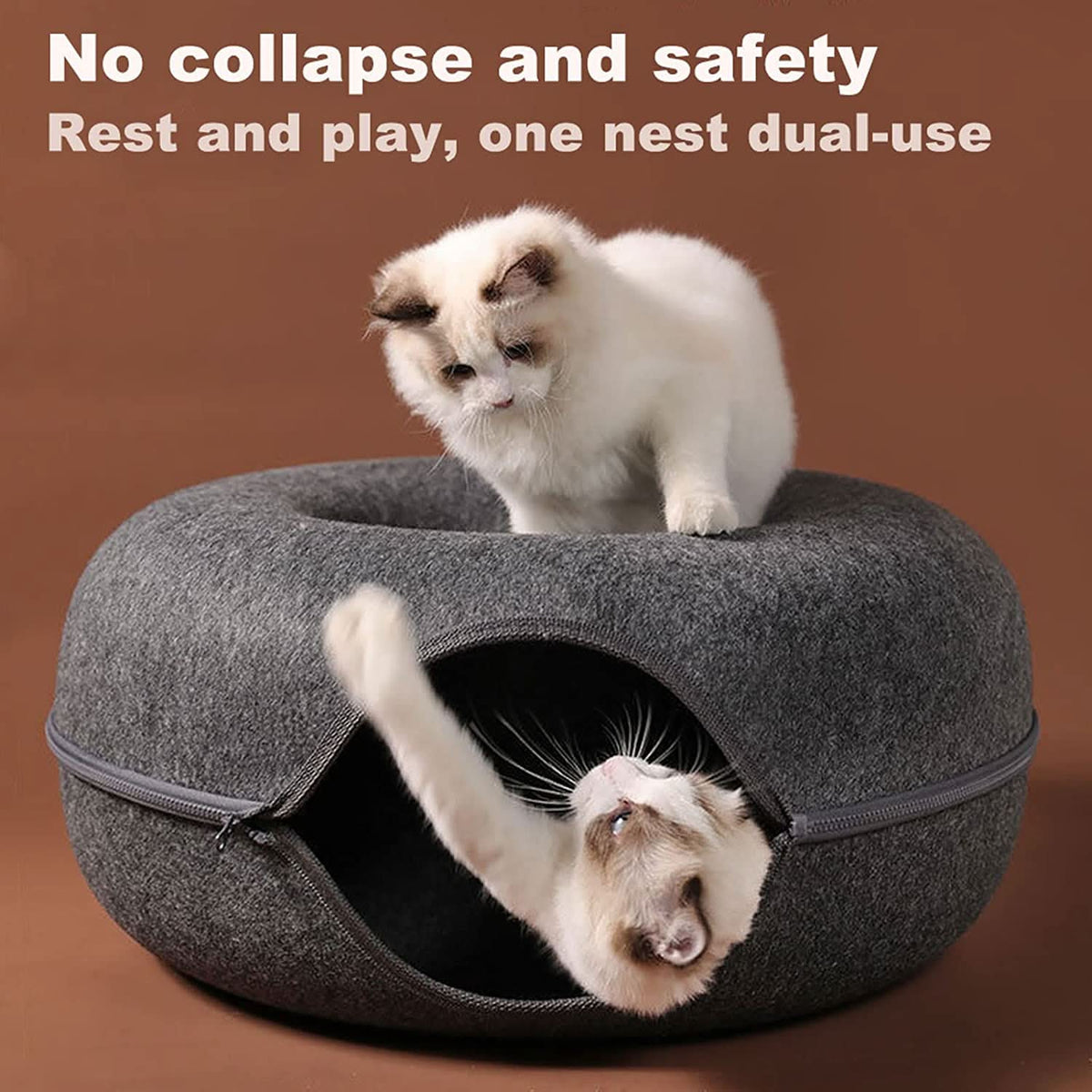 Luxury cat tunnel with sleeping area