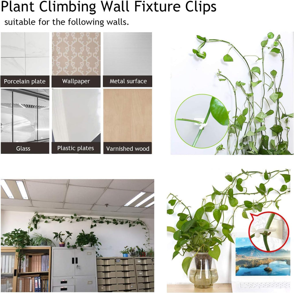 Climbing Wall Mounting Clips – Practical Plant Holders for Wall Decoration