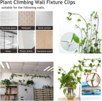 Climbing Wall Mounting Clips – Practical Plant Holders for Wall Decoration