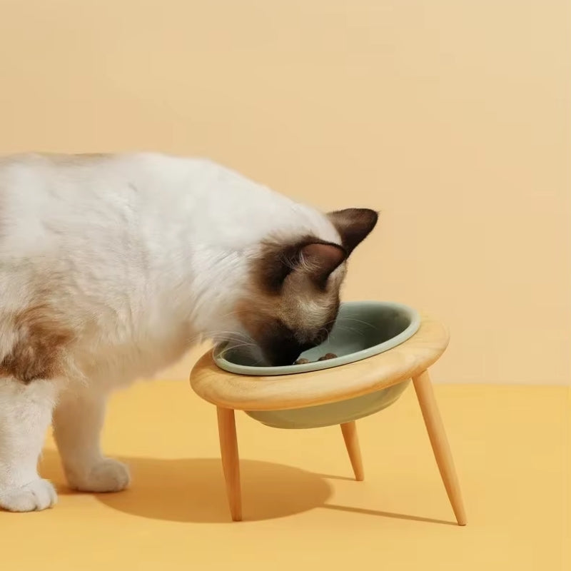 Misha Ceramic Elevated Cat Bowl with Wooden Stand
