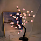 Plum Blossom