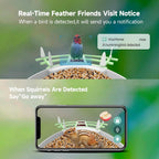 Smart Bird Feeder Camera with AI Recognition & Night Vision
