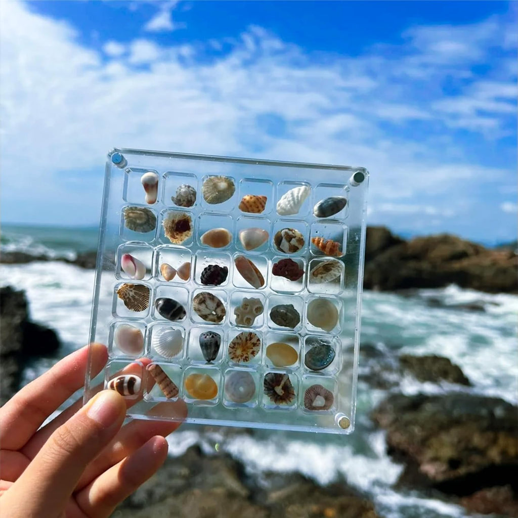 Acrylic Treasure Keeper | Stylishly Store Your Sea Collection