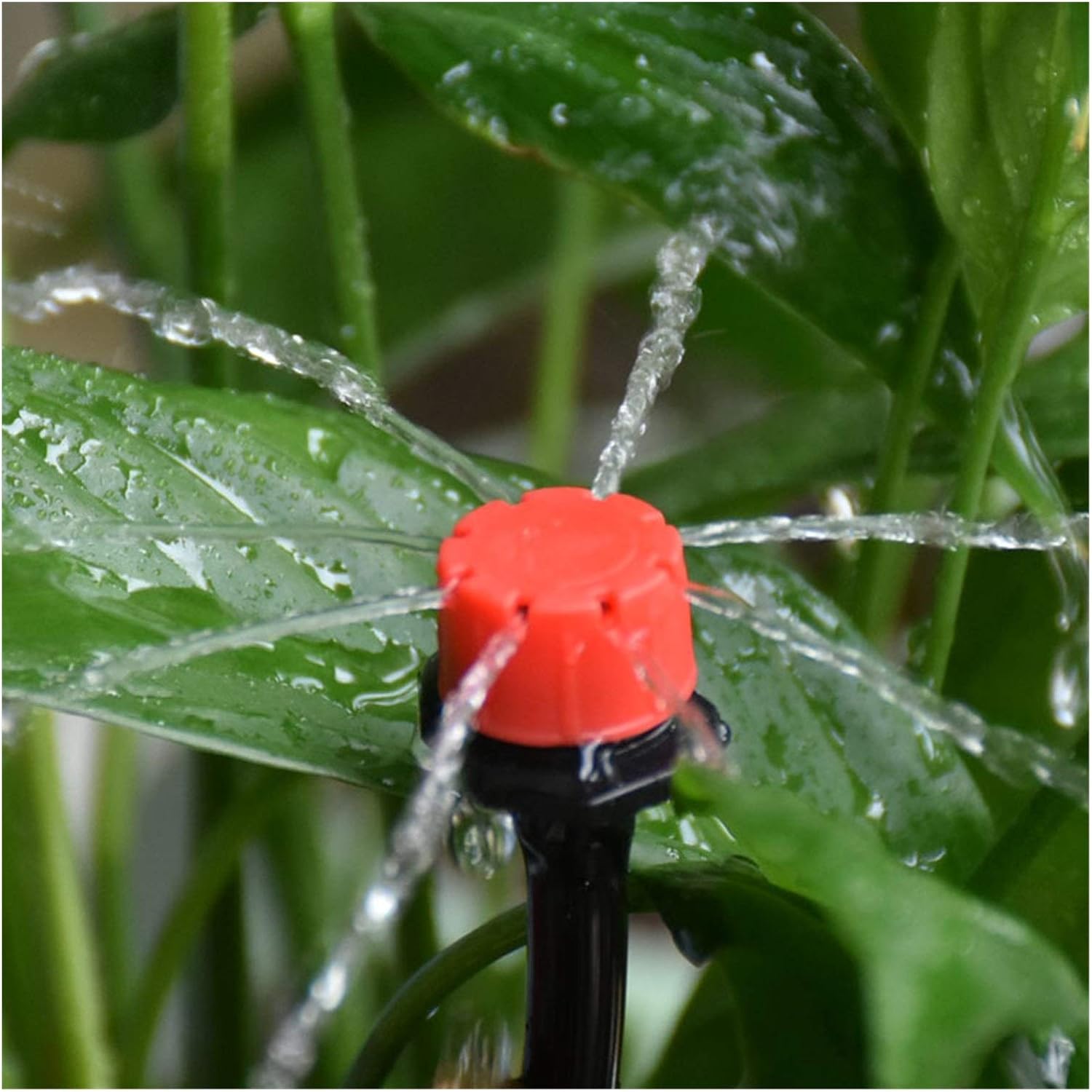 Automatic drip irrigation system for plants – Complete set for garden and balcony