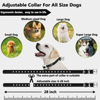 Wireless Dog Fence Collar System | Waterproof, Rechargeable & Ideal for Home Training and Outdoor Adventures