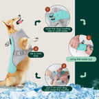 Summer Reflective Dog Cooling Vest & Quick-Release Harness