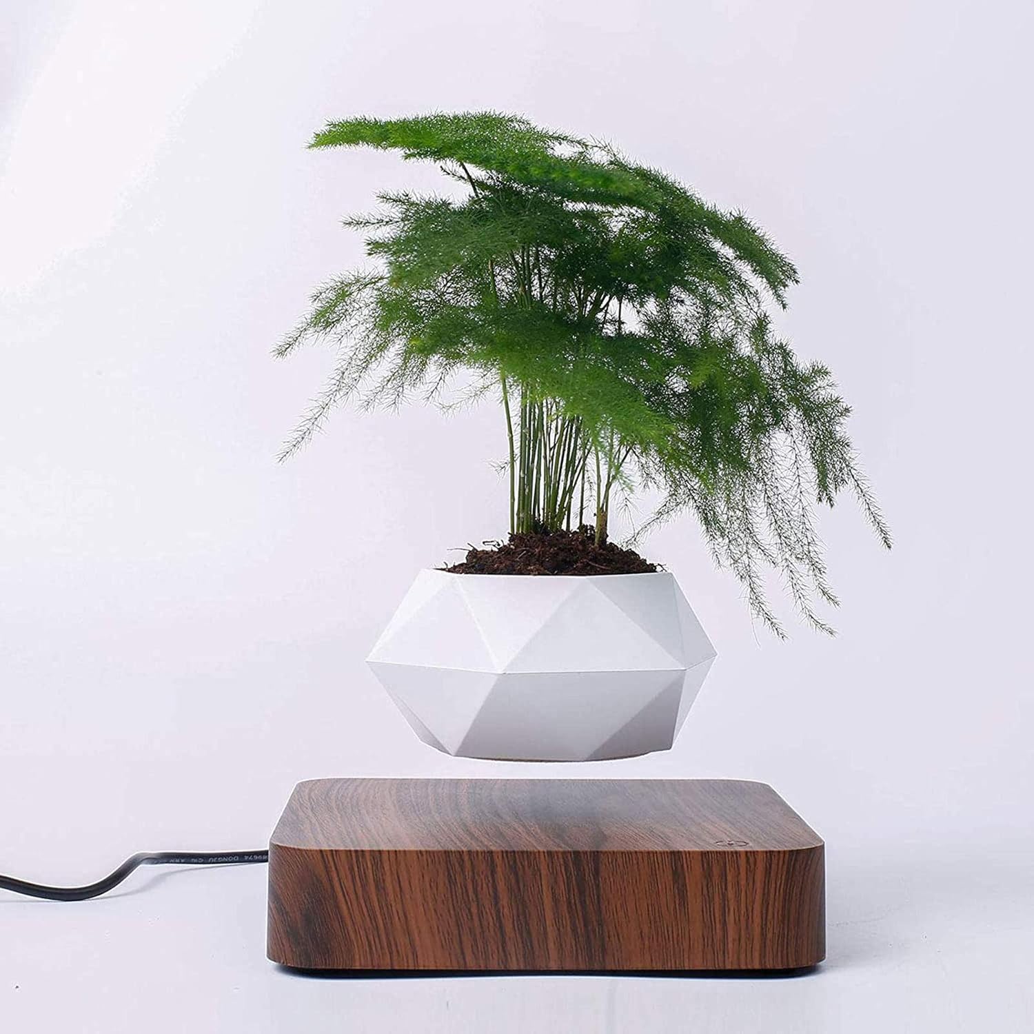 Levitating Plant Pot – Magnetic Floating Planter