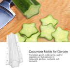 Star shape vegetable mold for cucumbers – Creative mold rail for fruits and vegetables