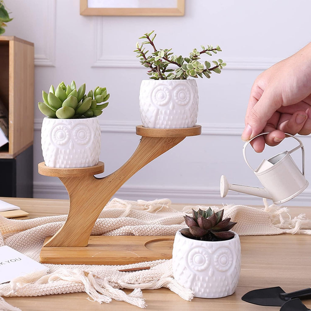 Decorative plant stand made of wood – plant pots in owl design for succulents and indoor plants