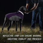 SafeWalk Winter Harness Jacket – Waterproof dog jacket with reflection and fleece lining