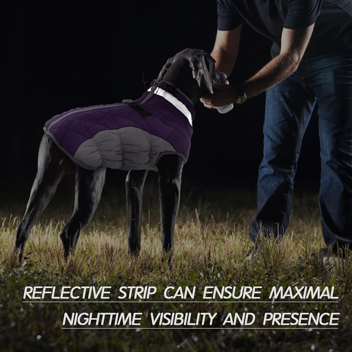 SafeWalk Winter Harness Jacket – Waterproof dog jacket with reflection and fleece lining