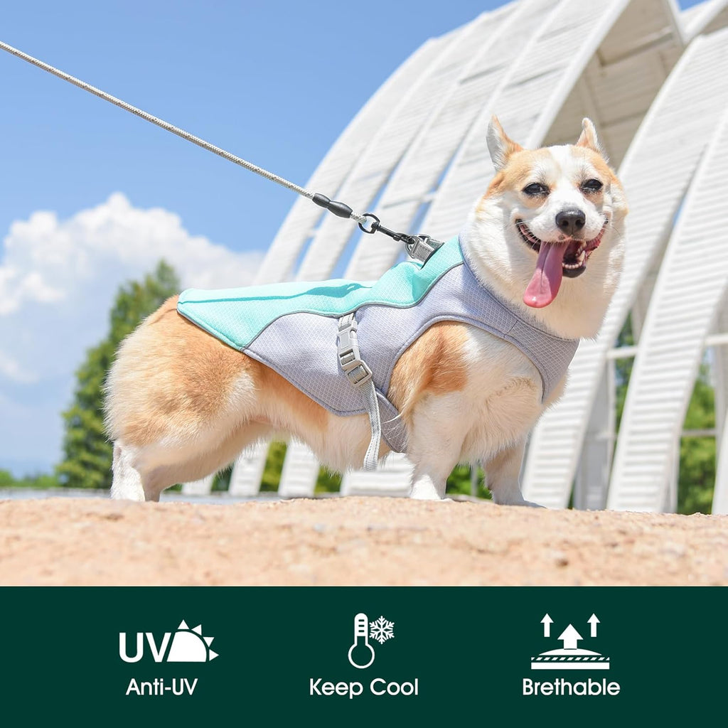Summer Reflective Dog Cooling Vest & Quick-Release Harness