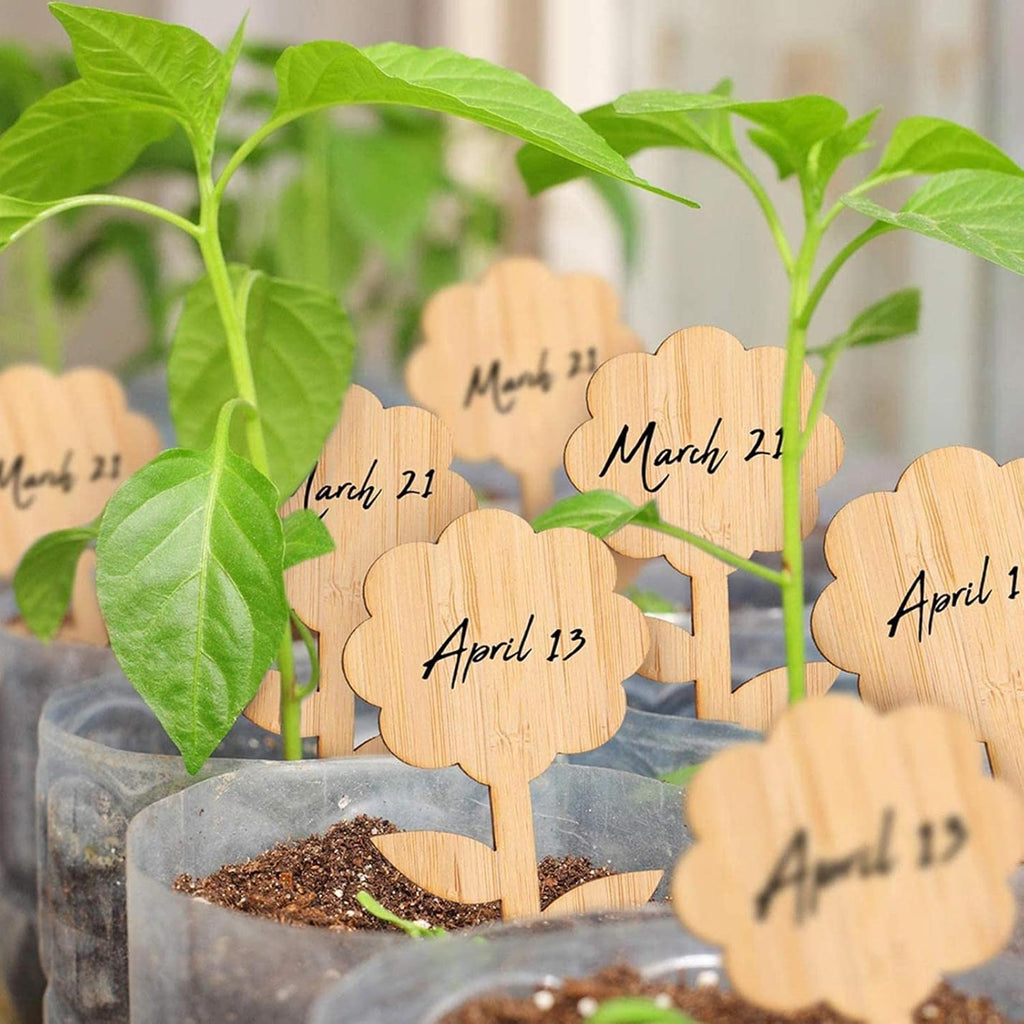 Plant labels made of wood for garden and balcony – Rewritable labels for herbs and plants