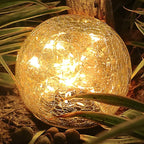 Solar Globe Lights