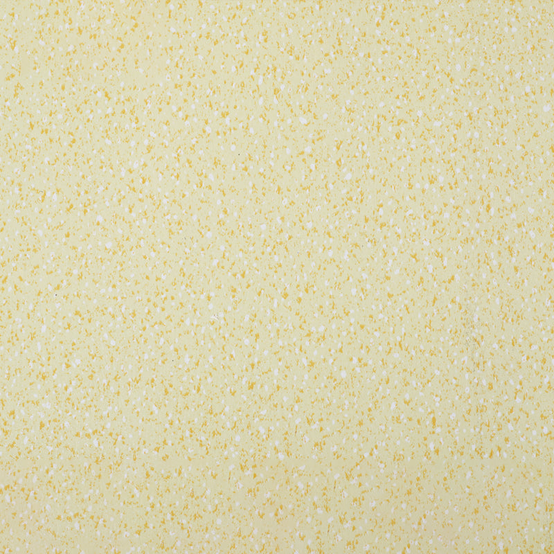 Indoor Flooring Peel and Stick Coiled PVC 200cm Waterproof Vinyl Flooring