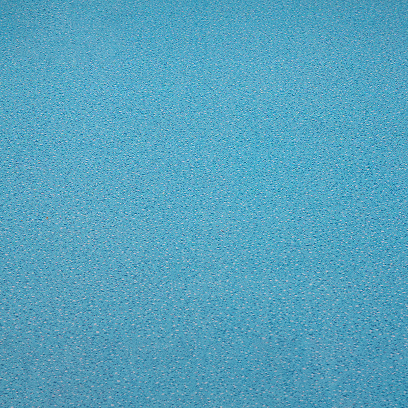 Indoor Flooring Peel and Stick Coiled PVC 200cm Waterproof Vinyl Flooring