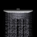 Rectangular Gray Showerhead Combo Standard Spray Pattern Showerhead