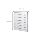 Metal Shower Head Combo Contemporary Round Fixed Shower Head for the Bathroom