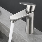 Faucet Hose Stainless Steel Single-Lever Basin Mixer