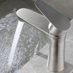Faucet Hose Stainless Steel Single-Lever Basin Mixer